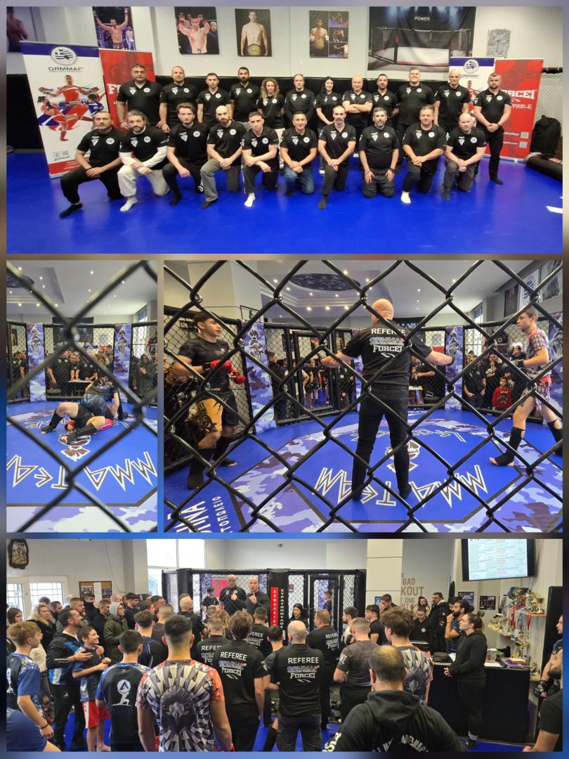 Greek Federation of Mixed Martial Arts (GRMMAF)