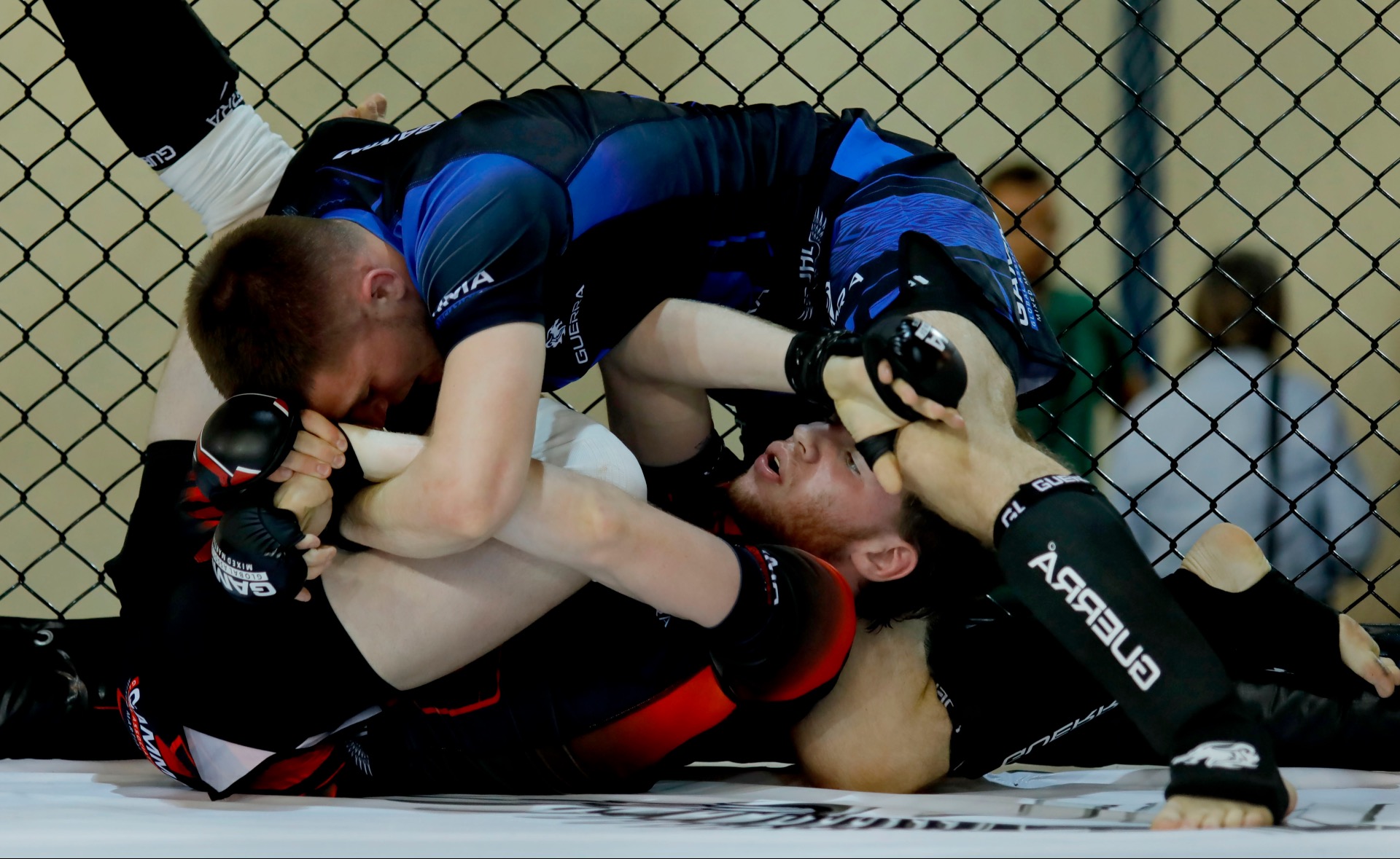 DAY 3 - GAMMA European Championships 2026 - Loutraki, Greece - Photo 13
