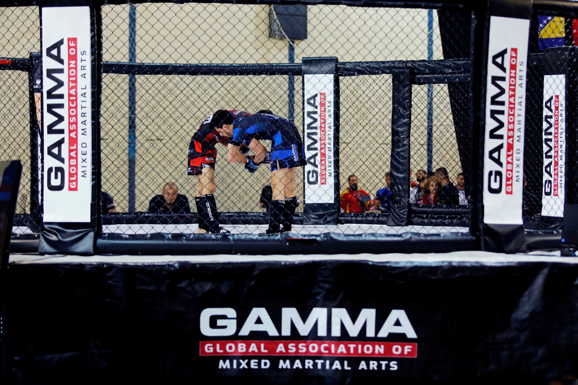 DAY 4 - GAMMA European Championships 2026 - Loutraki, Greece - Photo 1